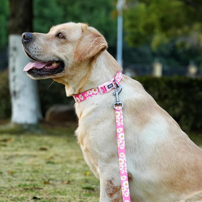 Dog Collar and Leash Set, Cute Pink Daisy Pattern, Polyester Material, 5ft Leash, for Medium Dogs.(Medium,Pink Daisy)