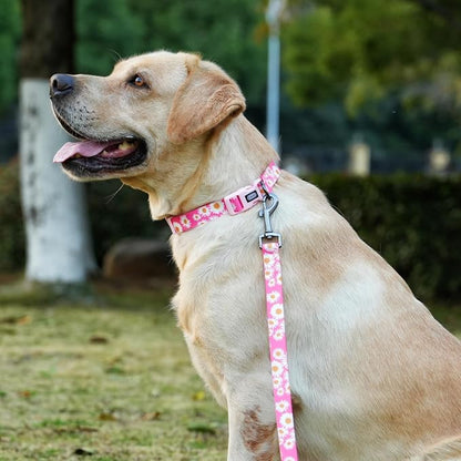 Dog Collar and Leash Set, Cute Pink Daisy Pattern, Polyester Material, 5ft Leash, for Large Dogs.(Large, Pink Daisy)
