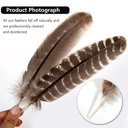 THARAHT 24pcs Natural Wild Turkey Wing Feathers Quill Bulk 8-10inch 20-25cm for DIY Crafts Project Collection Wedding Decoration Wild Turkey Tails Feather