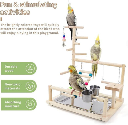 Bird Playstand Cockatiels Playground Perch Stand Parrot Play Gym for Parakeets Conures Parrotlets and Finches, Easy Assembly Includes Colorful Toys and Perch 1Ladder with Platform