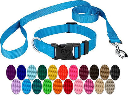 Country Brook Petz - Everyday Nylon Dog Collar and Leash - 10+ Cool Colors (1 Inch, Large, Ice Blue)