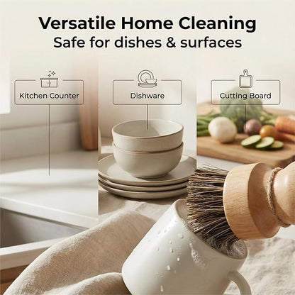 Wooden Dish Scrub Brush