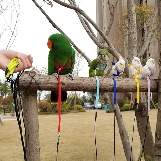 Adjustable Bird Harness with Elastic Leash, Pet Parrot Harness and Leash, Adjustable Training Design Anti-Bite, Bird Nylon Rope with Cute Wing for Conure (Green,Macaw)