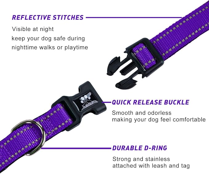 FURRYFECTION Reflective Dog Collar and Leash Set with Quick Release Buckle, Padded with Neoprene Adjustable Nylon Dog Collar for Small Medium and Large Dogs (Medium Collar+5FT Leash, Purple)