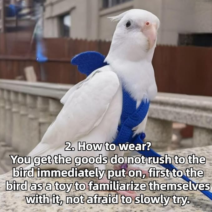 Pet Parrot Bird Harness and Leash, Adjustable Training Design Anti-Bite, Bird Nylon Rope with Cute Wing for Lovebird Budgie African Grey Macaw Conure (Light Blue,Pigeon)