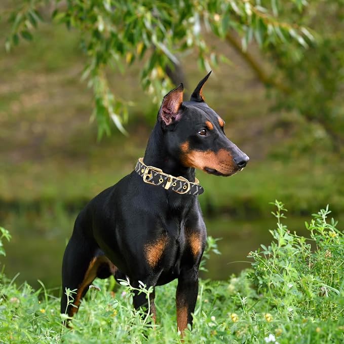 Leather Dog Collar and Leash Set, Check Pattern Dog Collar Leashes Metal Buckle Adjustable Durable for Small Medium Large Dogs (Black, S(11.4-13.4IN))