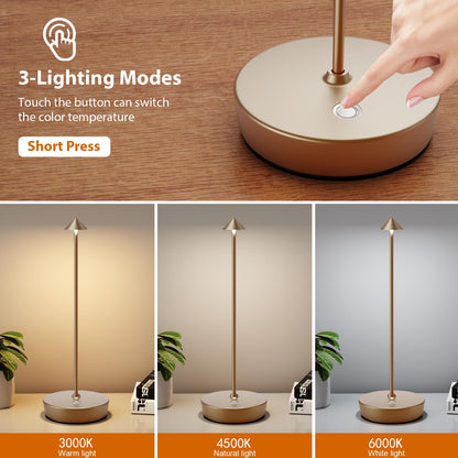 YIBEN 2Pack Rechargeable Cordless Table Lamp, Portable Powered LED Battery 6000mAh Metal USB Desk Lamp, 3 Levels Brightness Light for Restaurants Outdoor (2pack Titanium)