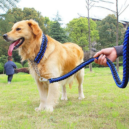Love Dream Dog Collar and Leash Set, Heavy Duty Nylon Braided Rope Strong 4 FT Dog Leash and Martingale Training Collar for Small Medium Large Dogs Training and Walking (Green & Black)