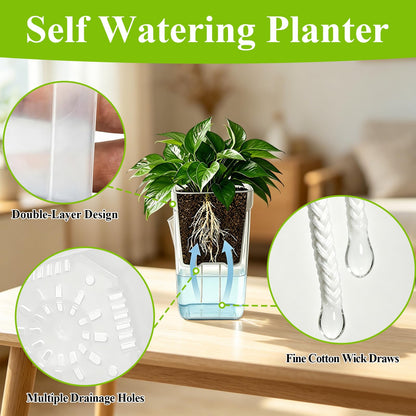 Lwuey 12 Pack 2.5" Self Watering Propagation Pots - Clear Plastic Seed Starter Cups, for Seedlings, Cuttings, Succulents, Herbs, Vegetables, 12 Plant Labels Included for Indoor Plants