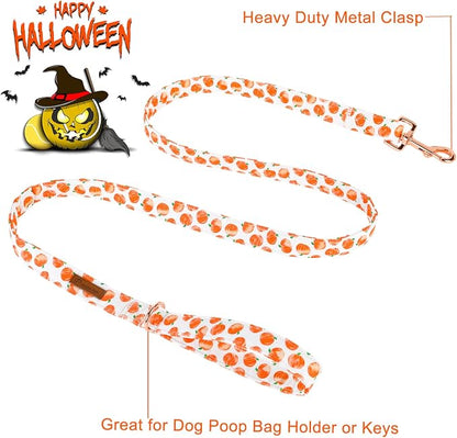 Dog Leash & Collar Set, Sturdy Durable Cotton, Halloween Pumpkin Pattern for Small to Large Dogs