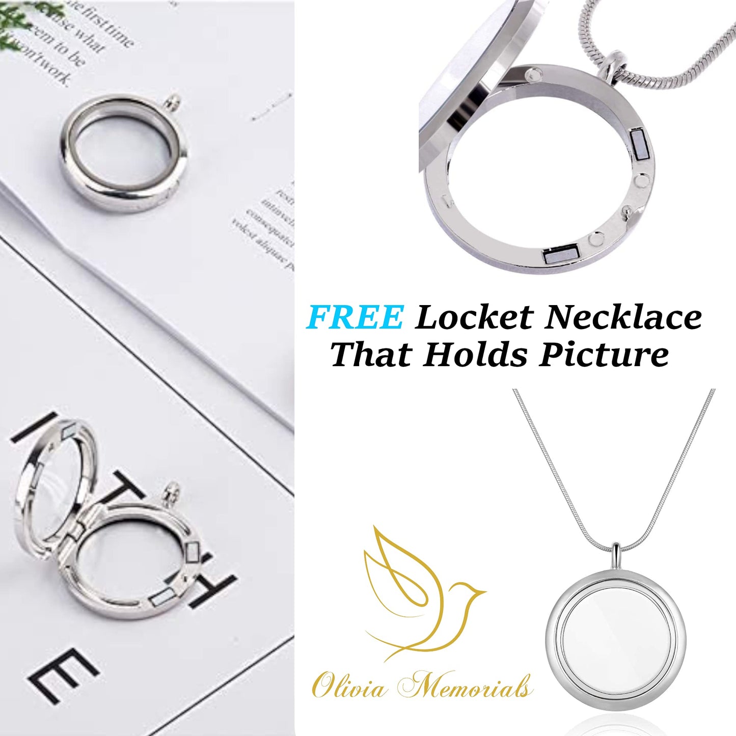 Olivia Memorials Urn for Ashes Women Men Adult | Hummingbird Urns for Female Male | Free Pendant Necklace | Human Funeral Decorative Purple Urna for Mom Dad Pet Dog