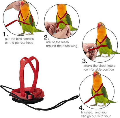 2 pcs Pet Parrot Bird Harness and Leash, Adjustable Training Design Anti-Bite, Outdoor Flying Training Rope Kit for Bird Parrots Fits Birds Chest Between46-76cm /18.11-29.92inch - XL (red)