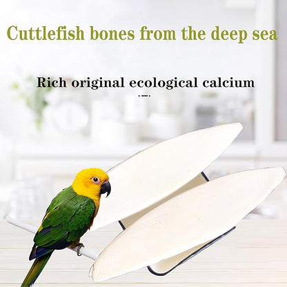 Bird Cuttlebone for Parakeets Cuttlebone for Birds - Natural Cuttlefish Bone Bulk Chew Toy Bird Bites Calcium Stone for Canaries Tortoises,Snails,Reptiles,Parrots,Cockatiel