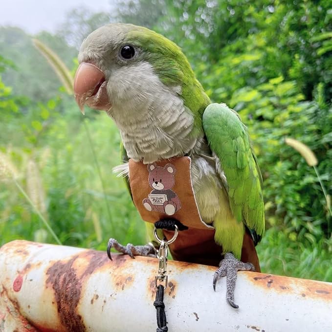 Bird Diaper Harness Flight Suit Clothes, Parrot Flight Suit with Leash for Parrot, Bird Flying Clothes with Rope and Handle for Outdoor Activities Training (Necked Parakeet,Without Leash)