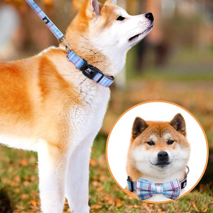 IVY&LANE Dog Collar with Bowtie and Leash Set | Plaid Adjustable Dog Collar | Detachable Bow Tie |5 FT Dog Leash | for Small Medium Large Dogs | Checkered Blue | Large