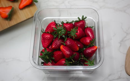 Cambro Food Storage Container