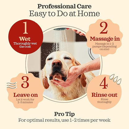 Prebiotic Hypoallergenic Sensitive Dog Shampoo – Oatmeal & Vanilla Scent Formula, Sensitive Skin | Vegan, Paraben-Free, Moisturizing & Deodorizing, Pet Shampoo | Safe for Dogs & Cats – 16 fl oz