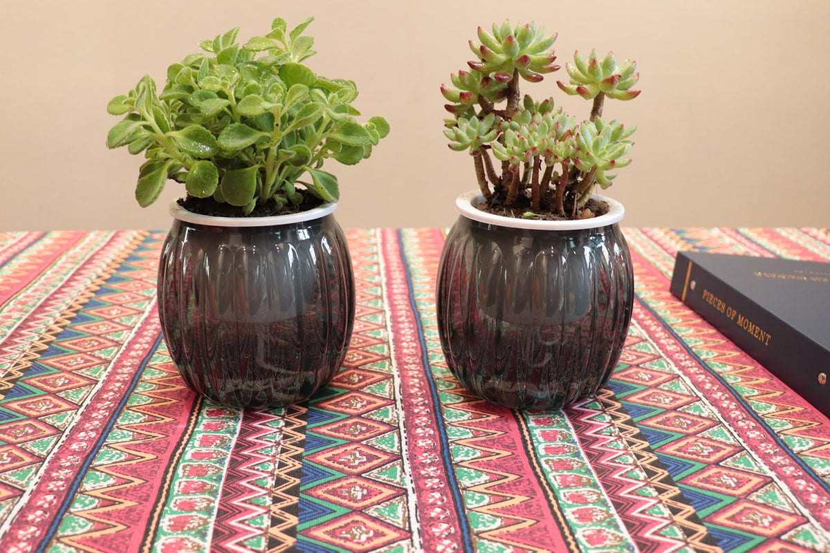 Cornasee 4" Pumpkin Planter Self Watering Pot, 4-Pack Small Plastic Planters for Indoor Plants,Flowers,Succulent,African Violets (Black, 4")