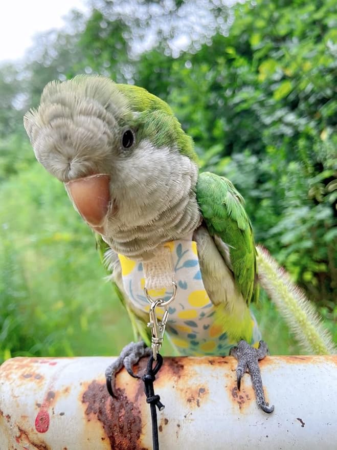 Bird Diaper Harness Flight Suit Clothes, Parrot Flight Suit with Leash, Bird Flying Clothes with Rope and Handle for Outdoor Activities Training (Yellow Without Leash,Medium)