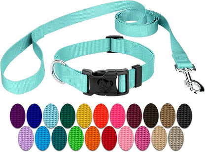 Country Brook Petz - Everyday Nylon Dog Collar and Leash - 10+ Cool Colors (3/4 Inch, Small, Light Cyan)