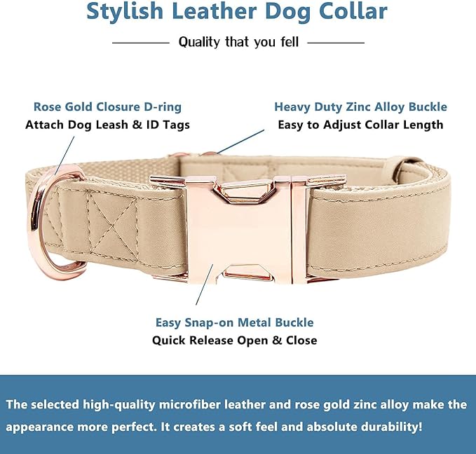 Soft Leather Dog Collar and Leash (6.6') Set - Stylish Rose Gold Heavy Duty Metal Buckle, 4 Adjustable Lengths Leash for Small Medium Large Dogs - Comfortable & Easy to Clean Beige L(15.4"-24.8")