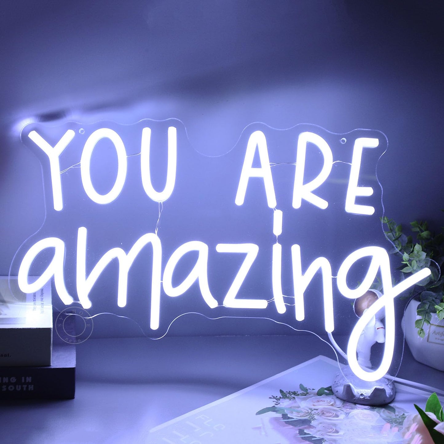 SYLHOME You Are Amazing LED Neon Light Sign 5V Girls Boys Bedroom Living Room Classroom Wall Decor Sign Hanging Smart Kid Birthday USB 16.9" X 10.6" Warm White
