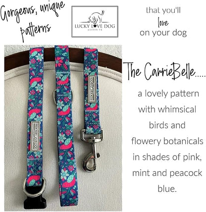 Lucky Love Dog - Easy Click Buckle Dog Collar with Leash Set Combo, Durable & Comfortable for Male & Female Dogs, Pet Collar for Small Dogs, Secure Fit - Carriebelle Martingale Combo, Small