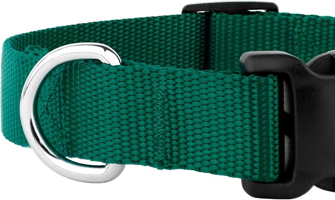 Country Brook Petz - Everyday Nylon Dog Collar and Leash - 10+ Cool Colors (3/8 Inch, Extra Small, Green)