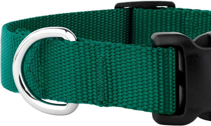 Country Brook Petz - Deluxe Nylon Dog Collar and Leash - 10+ Cool Colors (3/4 Inch, Small, Green)