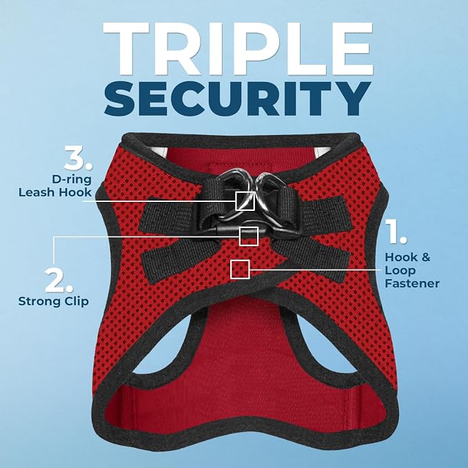 Best Pet Supplies Voyager Step-in Air All Weather Mesh Harness and Reflective Dog 5 ft Leash Combo with Neoprene Handle, for Small, Medium and Large Breed Puppies - Red/Black Trim, X-Large