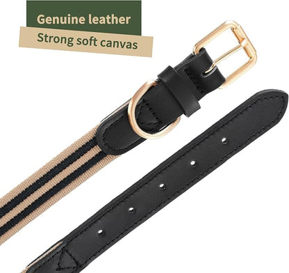Mile High Life Genuine Leather Dog Collar, Heavy Duty Canvas Collar with Adjustable Metal Pin Buckle for Small Medium Large Dogs (Black, L Neck 17"-21")