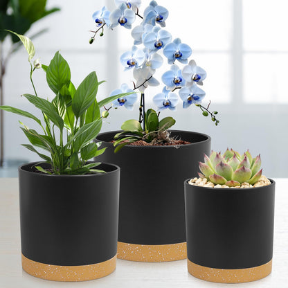 WSMKSZ 3 Pack 6/5/4 inch Cylindrical Flower Pots, Modern Small Round Plastic Plant Pots with Drainage Holes & Saucers, Clean and Refined Planter Pots for Outdoor, Indoor & Office Decor (Black Brown)