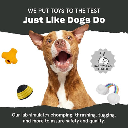 Barkbox Tug Measure Durable Dog Toy, Perfect for Strong Chewers and Interactive Play - Large