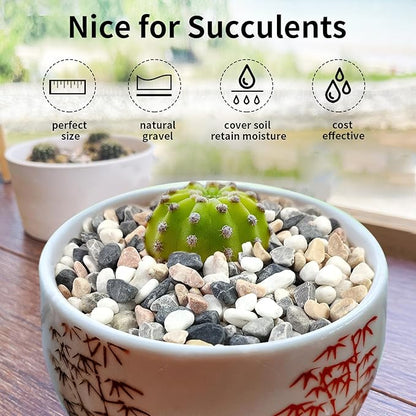 FANTIAN 5 lbs Succulent and Cactus Pebbles for Indoor Plants, 3/8 Inch Pea Gravel Decorative River Rocks for Plants, Vases, Terrarium, Aquarium, Potted Top Dressing and Outdoor Landscaping Stones