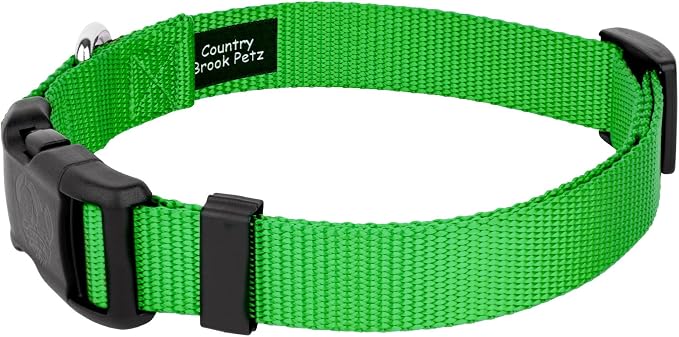 Country Brook Petz - Everyday Nylon Dog Collar and Leash - 10+ Cool Colors (1 Inch, Extra Large, Hot Lime Green)