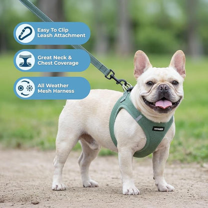 Best Pet Supplies Voyager Step-in Air All Weather Mesh Harness and Reflective Dog 5ft Leash Combo with Neoprene Handle, for Small, Medium and Large Breed Puppies - Moss Green, Large