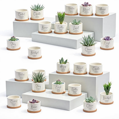 Fumete 24 Set 36 Set Father's Day Christian Religious Gift Bulk Bible Verse Succulent Pots with Tray Drainage, 12 Scripture Quote, 3x2 in Mini Ceramic Flower Planter for Home Church Gift (Affirmation)