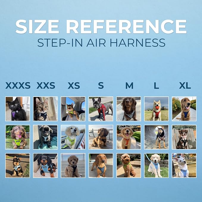 Best Pet Supplies Voyager Step-in Air All Weather Mesh Harness and Reflective Dog 5ft Leash Combo with Neoprene Handle, for Small, Medium and Large Breed Puppies - Blue, XX-Small