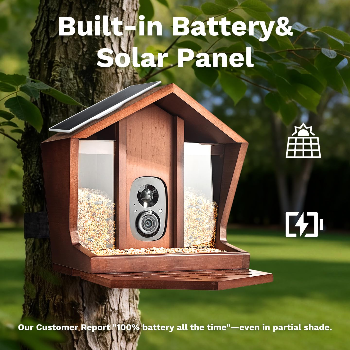 Birdster Smart Bird Feeder with Camera Solar Powered AI Identification 10,000+ Bird 2K UHD Video Live Instant Arrival Alerts and Real-Time Motion Detection Weatherproof Bamboo for Outdoor Birds Lovers