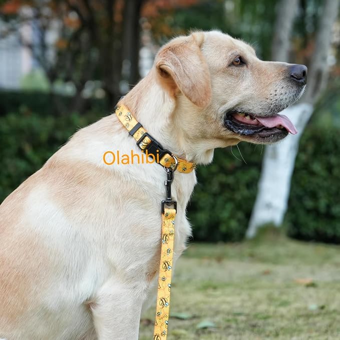 Dog Collar Leash Set, Busy Bee Pattern, 5ft Matching Leash, Polyester Material, 4 for Small Medium Large Dogs.(M, Bee)