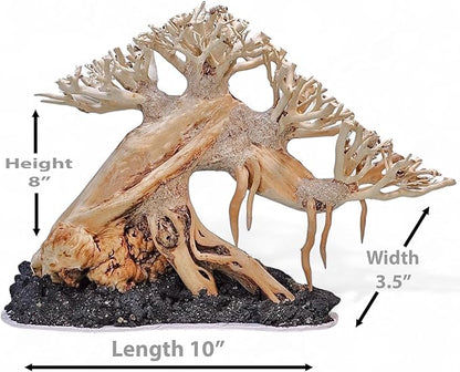 Azil Aquascape Bonsai Driftwood Tree 10” – Premium Natural Aquarium Decor for Fish Tanks, Freshwater Aquariums, Hardscape & Planted Tanks