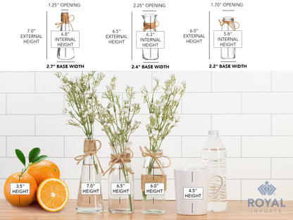 Royal Imports Clear Glass Bottle Bud Vase, Small Single Stem Flower Centerpiece, Mini Decorative Floral Jars, Rustic Farmhouse Home Decor, Kitchen, Fireplace, Shelf, Narrow One Rose Holder, Set of 3