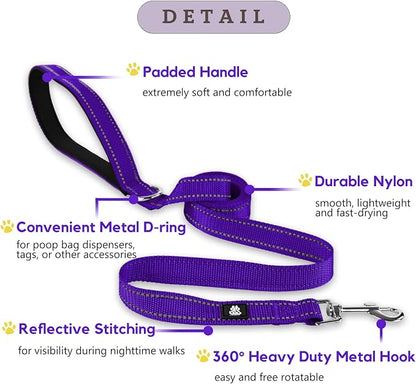 FURRYFECTION Reflective Dog Collar and Leash Set with Quick Release Buckle, Padded with Neoprene Adjustable Nylon Dog Collar for Small Medium and Large Dogs (Medium Collar+5FT Leash, Purple)