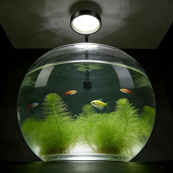 Carefree Fish Aquarium LED Light USB 7W Timer 4/8/12/18 Hours for 1~5Gal Fish Tank (Include UL Certification Power Adapter)