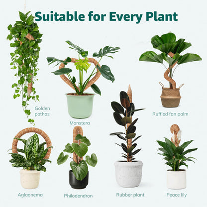 Vanut 2-Pack 28in Bendable & Sturdy Moss Pole for Climbing Plants, Coco Coir Plant Support Stakes for Monstera, Pothos Vines, Philodendron, Fishbone Cactus & Indoor Tropical Houseplants