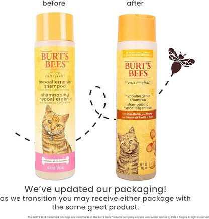 Burt's Bees for Pets Hypoallergenic Cat Shampoo with Shea Butter and Honey, Gentle Formula for Indoor Cats with Dry or Sensitive Skin, pH Balanced, Fragrance-Free, 10 Fl Oz - 6 Pack