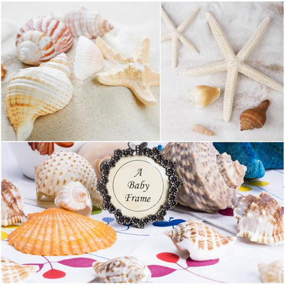 Fangoo 1.5 LB Mixed Sea Shells, 130+ PCS Beach Seashells Starfish Oyster Shells Various Sizes Ocean Seashells for Fish Tank Vase Fillers Beach Theme Party Wedding Decor DIY Crafts Home Decorations
