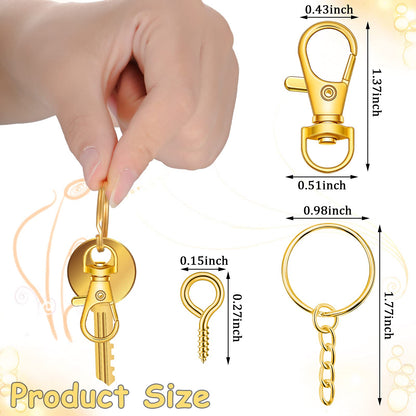 280 Pieces Key Chain Rings Kit Including 35 Pcs Swivel Lobster Clasp Keychain 35 Pcs Key Rings with Chains 210 Pieces Small Screw Eye Pins Hooks for DIY Crafts Set, 7 Colors