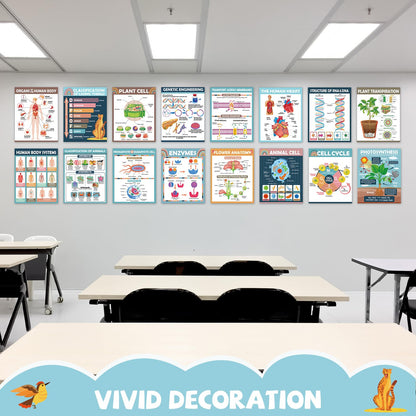 16Pcs Boho Science Posters for Classroom Middle School Supplies Biology Poster Classroom Decoration Life Science Posters Charts for Teachers High School Education Bulletin Wall Decor