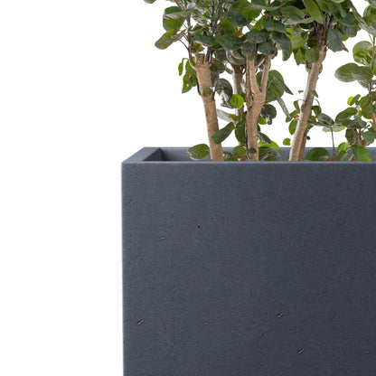 Kante 12.6" H Tall Rectangular Concrete Planters, Outdoor Indoor Lightweight Plant Pots with Drainage Hole and Rubber Plug, Modern Style for Home Garden Patio, Charcoal